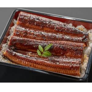 ���Y���Ȃ�����2��(���o��)�y�z���s�n��F�����z�y1696254�z