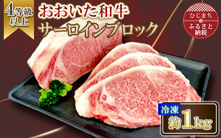 おおいた和牛 サーロインブロック 1kg[配送不可地域:離島]