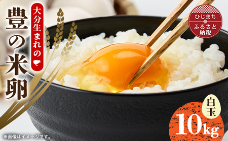 大分生まれのAW飼い有精卵「豊の米卵」10kg(白卵)[配送不可地域:離島]