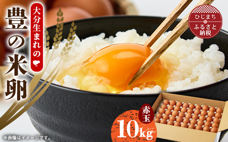 大分生まれのAW飼い有精卵「豊の米卵」10kg(赤卵)[配送不可地域:離島]