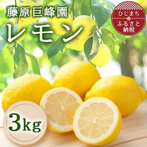 大分県日出町産 レモン3kg