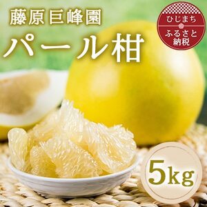 大分県日出町産 パール柑5kg