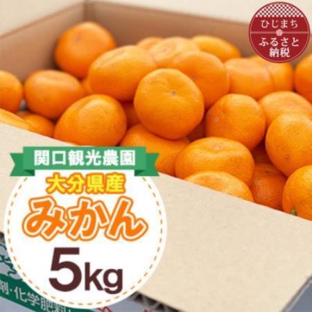 温州みかん約5キロ【1727486】