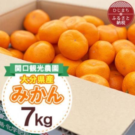 温州みかん約7キロ【1727488】