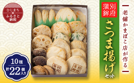 さつま揚げ(天ぷら)セット 10種/22個入り おかずやおつまみにおすすめ!_魚介・海産物 かまぼこ・練り製品 カマボコ 練物 練り物 ねりもの_[配送不可地域:離島]