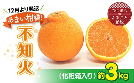 [12月より発送]あまい柑橘!不知火 3kg(7〜8玉または10玉)化粧箱入り
