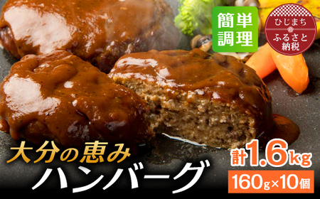 大分の恵みハンバーグ 1.6kg (160g×10個)(日出町)_肉 ハンバーグ 牛肉 肉 ハンバーグ 豚肉 _[配送不可地域:離島]