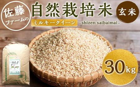 [令和5年産] さとうファームの 自然栽培米 玄米 30kg(30kg×1袋) ミルキークイーン お米 米