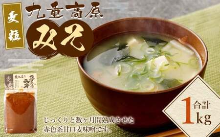 九重高原みそ (麦粒) 1kg×1袋