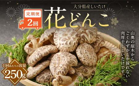 [2ヶ月定期便]大分産しいたけ花どんこ 250g 合計500g 乾燥椎茸 乾燥 しいたけ 干し椎茸 乾し椎茸 乾燥野菜 原木どんこ 花どんこ 大分県 九重町