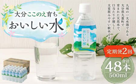 [2ヶ月定期便]大分 ここのえ育ち おいしい 水 500ml×24本 合計48本