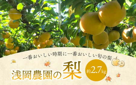 浅岡農園 の 梨 約2.7kg 豊水 秋月 新高 甘太 果物 大分県産 [2025年9月上旬-11月上旬発送予定]