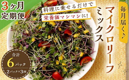 y3ցz }CN[t~bNX 1񂠂140gi70g×2jv 420g T_  啪 dY 