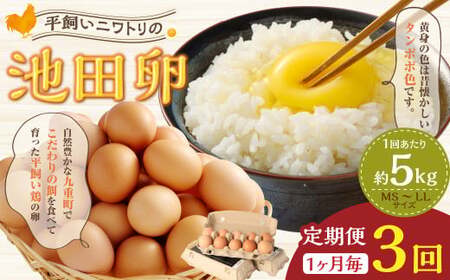 y3ցz 啪 dY jg̒rc ~bNXTCY MS`LLTCY v15kgi5kg×3j  ܂ ʎq { 