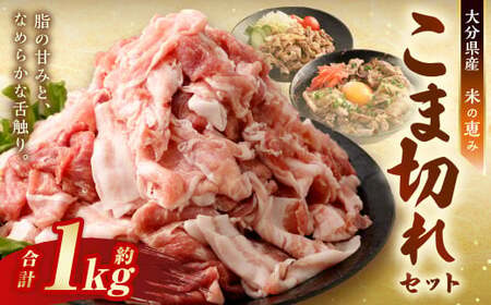 [おためし] こま切れ 約1kg セット (約200g×5パック) 大分県産 豚肉 [米の恵み] 小間切れ 肉