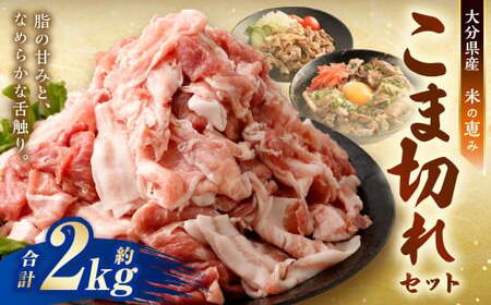 大容量 こま切れ 約2kg (約200g×10パック)セット 大分県産豚肉[米の恵み] 小間切れ 肉