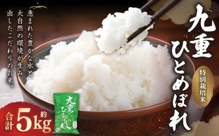 ��d �ЂƂ߂ڂ� 5kg �y2025�N11����{�����J�n�\��z �� ���� �R�� ���� ���� ���� ���͂� �퉷 ���Y