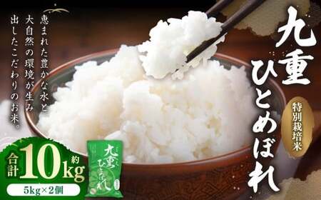 ��d �ЂƂ߂ڂ� 10kg �i5kg×2�܁j �y2025�N11����{�����J�n�\��z �� ���� �R�� ���� ���� ���� ���͂� �퉷 ���Y