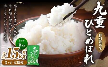 �y3��������ցz ��d �ЂƂ߂ڂ� 5kg×3�� �v15kg �� ���� �R�� ���� ���� ���� ���͂� �퉷 ���Y