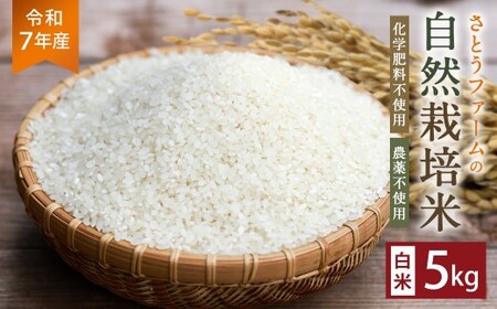 [令和7年産]さとうファームの自然栽培米(白米5kg)白米 お米 ふっくら つやつや おいしい 美味しい 贈り物 単一原料米