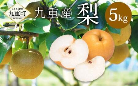 九重産 3L以上 梨 約5kg 梨( 二十世紀 あきづき 王秋 新高 豊水 甘太 のうちいずれか一種類)【2026年9月上旬から10月上旬発送予定】