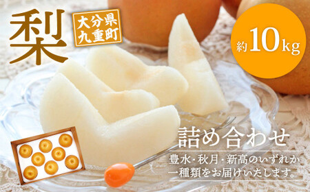大分県 九重町産 梨 詰め合わせ 約10kg 【2026年8月下旬-10月下旬発送予定】