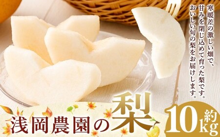 浅岡農園の梨 約10kg 梨 なし ナシ くだもの 果物 フルーツ 果実 和梨 王秋 にっこり 愛宕 大分県 九重町  【2026年11月下旬発送予定】