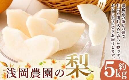 浅岡農園の梨 約5kg 梨 なし ナシ くだもの 果物 フルーツ 果実 和梨 王秋 にっこり 愛宕 大分県 九重町 【2026年11月下旬発送予定】