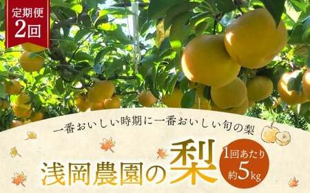 浅岡農園の梨 約5kg 梨 なし ナシ くだもの 果物 フルーツ 果実 和梨 豊水 秋月 新高 甘太 大分県 九重町 【2回定期便 2026年9月･10月発送】