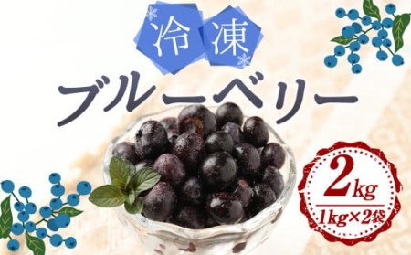 九重町産 冷凍 ブルーベリー 2kg (1kg×2袋) 農薬不使用 果物
