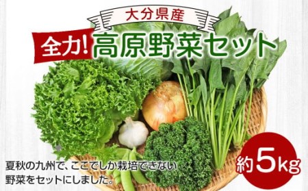 大分県産 全力! 高原野菜 セット 約5kg (5〜8品程度)