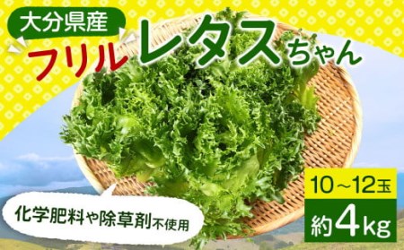 大分県産 フリルレタスちゃん 約4kg (10〜12玉) 高原野菜