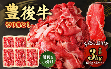 L㋍ ؂藎Ƃ v3kg (600g×5pbN)  Y 啪Y