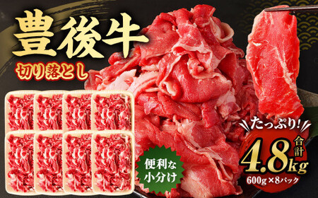 L㋍ ؂藎Ƃ v4.8kg (600g×8pbN)  Y 啪Y