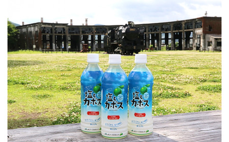 大分県産かぼすを使った「塩とカボス」 かぼす カボスドリンク 大分 かぼす果汁 塩 熱中症対策 夏 水分補給 塩分補給 冷やす さっぱり 凍らせる 香り フレッシュ フルーツ 味わい 飲み物 ドリンク 柑橘 果物
