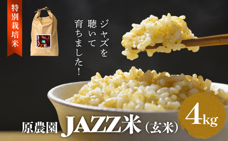 原農園 JAZZ米 (玄米) 4kg JAZZ米 JAZZ 玄米 原農園 米 銘柄米 きりかぶ山 水 肥料 有機質肥料 特別栽培米 抗酸化農法 光合成細菌 堆肥 アートテン農法 有効微生物農法 健康 食品 完熟堆肥