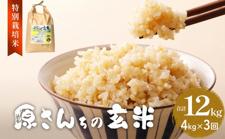 [先行予約]令和7年度産 原さんちの玄米 4kg 3種の中からいずれか1種お届け ひとめぼれ ヒノヒカリ にこまる 3ヶ月 定期便 ひとめぼれ 有機質肥料 特別栽培米 原農園 完熟堆肥 アートテン農法 抗酸化農法 有効微生物 光合成 体に良い 美味しい お米 安全 清潔 環境に優しい 栄養価 高品質 産地直送 健康志向 農産物