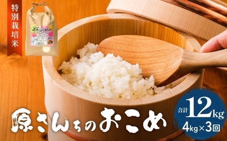 [先行予約]令和7年度産 原さんちのお米 4kg 3種の中からいずれか1種お届け ひとめぼれ ヒノヒカリ にこまる 3回定期便 特別栽培米 原農園 有機栽培 化学肥料不使用 アートテン農法 抗酸化農法 完熟堆肥 有効微生物 産直 お米 栄養価 体に良い おいしい 安心 田植え 収穫