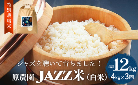 [先行予約]令和7年度産 原農園 JAZZ米 白米 4kg 3種の中からいずれか1種お届け ひとめぼれ ヒノヒカリ にこまる 3回定期便 JAZZ 有機栽培 特別栽培米 堆肥 光合成細菌 有効微生物 アートテン農法 抗酸化農法 有効微生物 きりかぶ山 地力 白米 環境 地域特産 自然栽培 完熟堆肥 健康