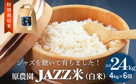 [先行予約]令和7年度産 原農園 JAZZ米 白米4kg 3種の中からいずれか1種お届け ひとめぼれ ヒノヒカリ にこまる 6回定期便 JAZZ 有機栽培 特別栽培米 堆肥 光合成細菌 有効微生物 アートテン農法 抗酸化農法 有効微生物 きりかぶ山 地力 白米 環境 地域特産 自然栽培 完熟堆肥 健康