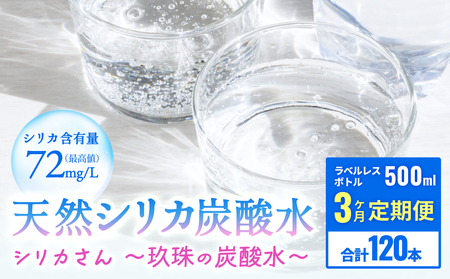 [3ヶ月 定期便]天然シリカ炭酸水 シリカさん〜玖珠の炭酸水〜 500ml × 40本