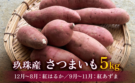 啪YY@܂5@g͂邩i12`8jg܁i9`11j