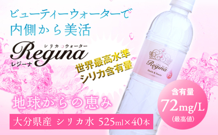 VJEH[^[ ReginaiW[ij40{