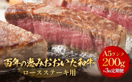 「百年の恵み おおいた和牛 」A5 ロースステーキ用 200g × 1枚 × 3ヶ月 定期便 おおいた和牛 ロースステーキ A5等級 黒毛和牛大分県産 牛肉 高級肉 霜降り 和牛ステーキ 風味豊か 脂質 種雄牛 血統 高評価 冷凍