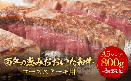 uSŇb a vA5 [XXe[Lp 200g × 4 × 3  a [XXe[L A5 јa 啪Y   ~ aXe[L L  Y