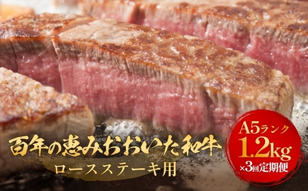 uSŇb a vA5 [XXe[Lp300g × 4 × 3  a [XXe[L A5 јa 啪Y   ~ aXe[L L  Y