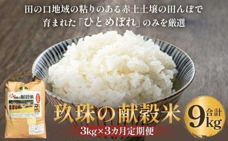 ߘa7N ̌ 3kg × 3   ЂƂ߂ڂ 啪 쒬    \ V