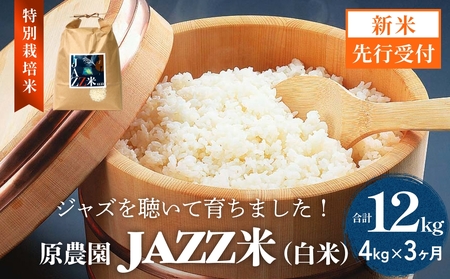 [令和8年産米先行受付]原農園 JAZZ米 白米 4kg ヒノヒカリ 3回定期便 米 お米 こめ コメ 定期 定期便 ご飯 ひのひかり 常温 大分県 大分 玖珠町 玖珠