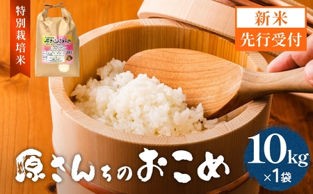 【令和8年産米先行受付】原さんちのお米 白米 10kg ひのひかり 米 お米 こめ コメ  ご飯 ヒノヒカリ 常温 大分県 大分 玖珠町 玖珠