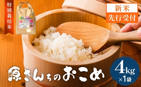 [令和8年産米先行受付]原さんちのお米 白米 4kg にこまる 米 お米 こめ コメ ご飯 ニコマル 常温 大分県 大分 玖珠町 玖珠